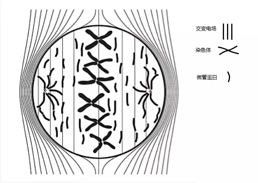 皇冠app下载安装